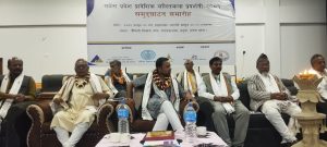 Lalit_kala_pradarshani_janakpurdham