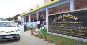 MadheshUniversity