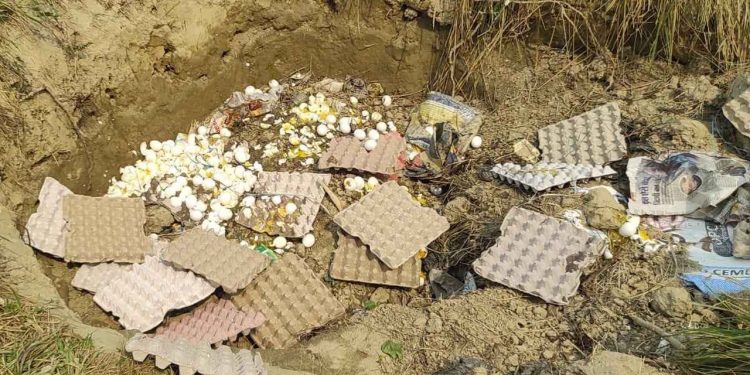 setoanda_madheshtoday