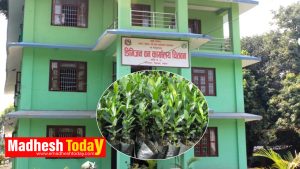 biruwa-utpadan_madheshtoday
