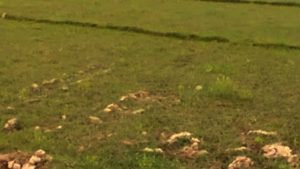 jagga-tanhu_madheshtoday