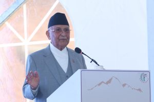 kp oli
