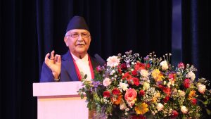 kp-oli