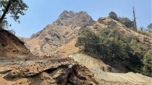 malikadhuri-myagdi