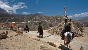 mustang-filephoto