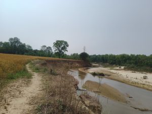 nadi katan