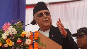 pm-kp-oli