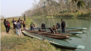 sauraha