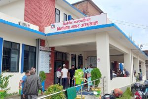 नगर अस्पतालमा बिरामीको चाप