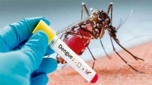 dengue