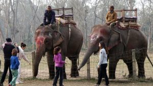 hathi-safari