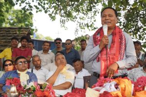 बाराको टाँगियाबस्तीमा बिजुली