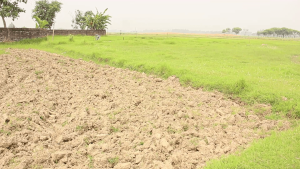 रोपाइँ नहुँदा किसान चिन्तित