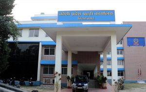 लागू औषध गाँजा विरुद्ध