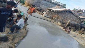 टोलबासीको दैनिकी
