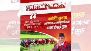 सरकारले मधेशमा सिँचाइको स्थायी