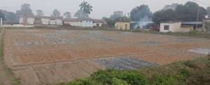 अनुसन्धान