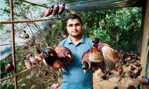 व्यावसायिक