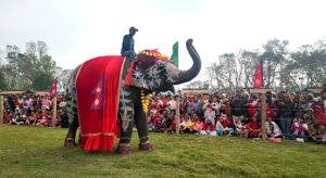 चितवनको पर्याय