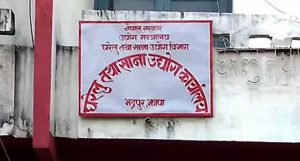 पाँच महिनामा