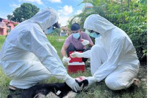 सुदूरपश्चिम