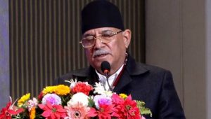 शान्ति सम्झौता पक्षधर