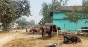 अति संवेदनशील