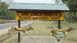 राष्ट्रिय निकुञ्जभित्रका १० बस्ती