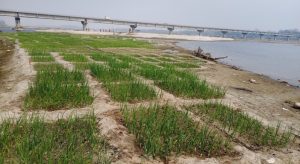 कर्णाली नदीको