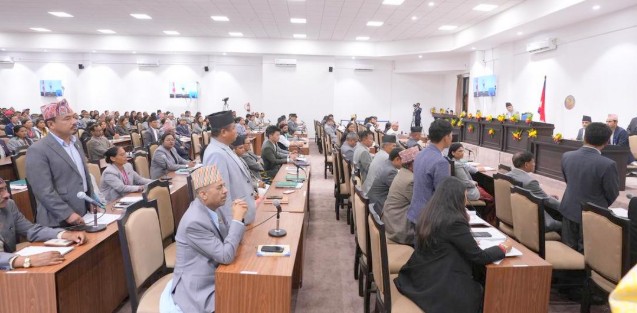 प्रतिनिधिसभा बैठक बस्दै : नीति तथा कार्यक्रम छलफल   