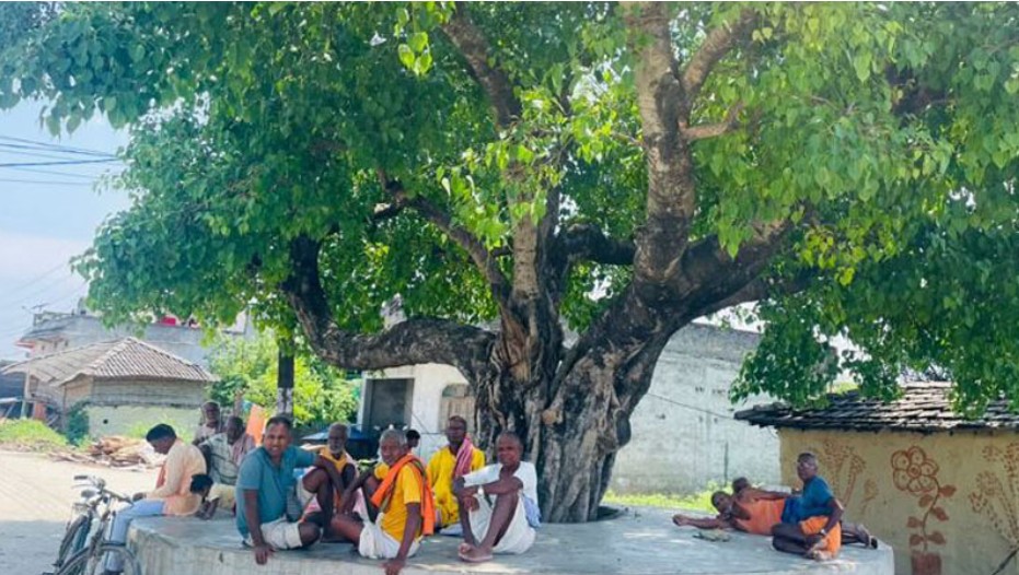तापक्रम बढेसँगै मधेशको जनजीवन प्रभावित