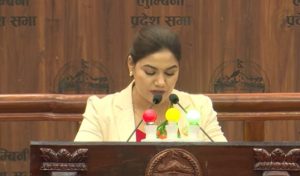 केन्द्रिय निर्देशनलाई