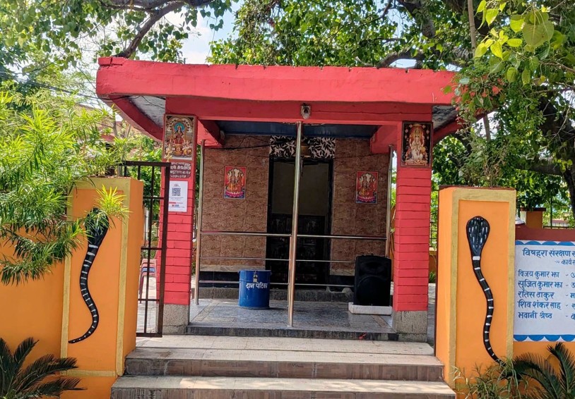 आज नाग पञ्चमी, विषहरा मन्दिरमा विषेश पूजाको तयारी