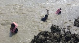 तीन बालबालिकामध्ये दुई जनाको